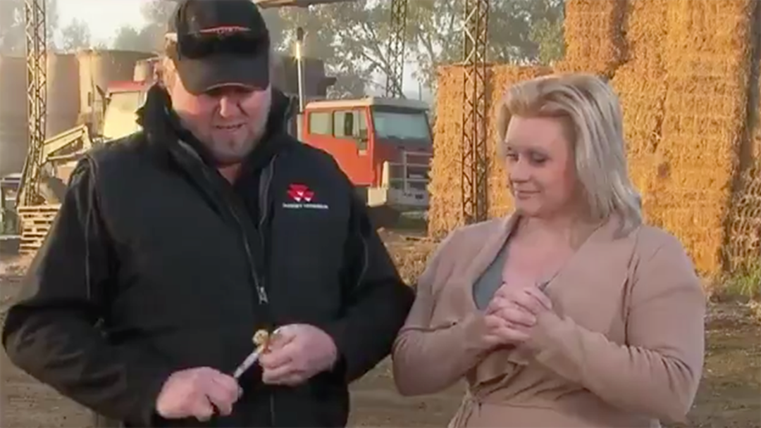 Article heading image for Struggling Farmer Destroys Rare Simba Ooshie On Live TV 