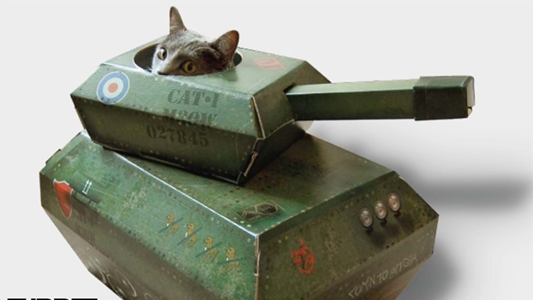 Article heading image for You Can Now Buy A Cardboard Tank For Your Cat