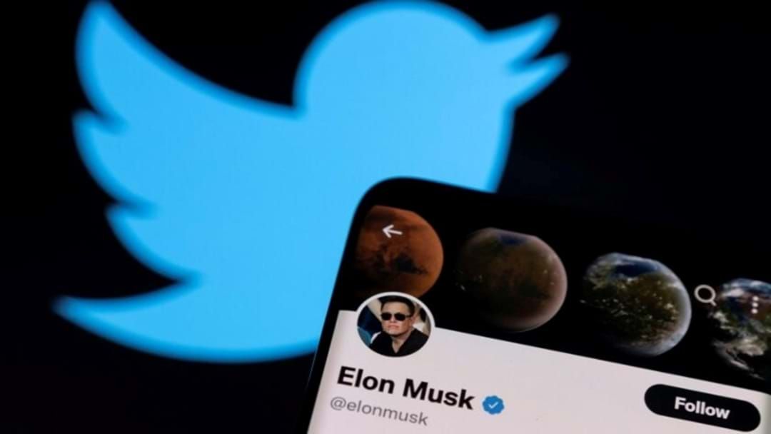 Article heading image for Elon Musk Puts Twitter Deal Temporarily On Hold Over Fake Accounts