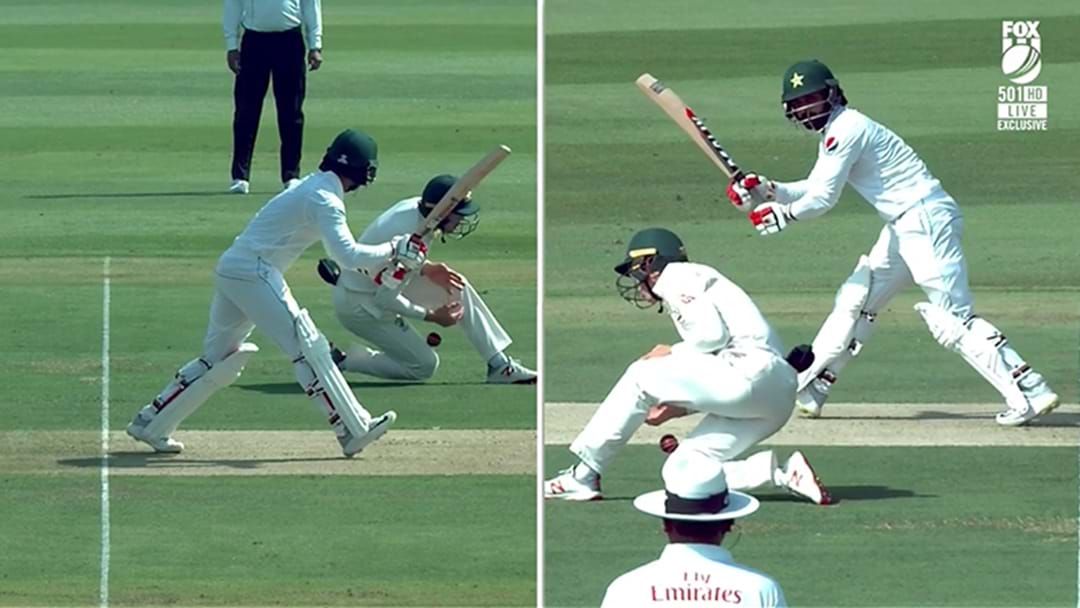 Article heading image for Marnus Labuschagne Just Took One Of The Most Ridiculous Short Leg Catches You'll See