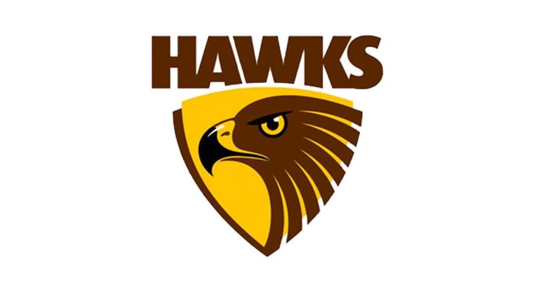 Article heading image for Hawthorn Unveil New CEO 