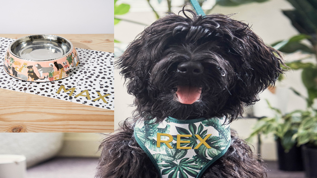 Article heading image for Cotton On Is Personalising Gear For Your Pooch