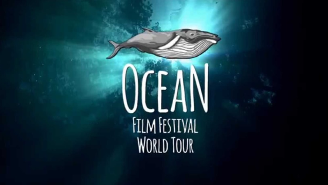 Article heading image for Ocean Film Festival World Tour