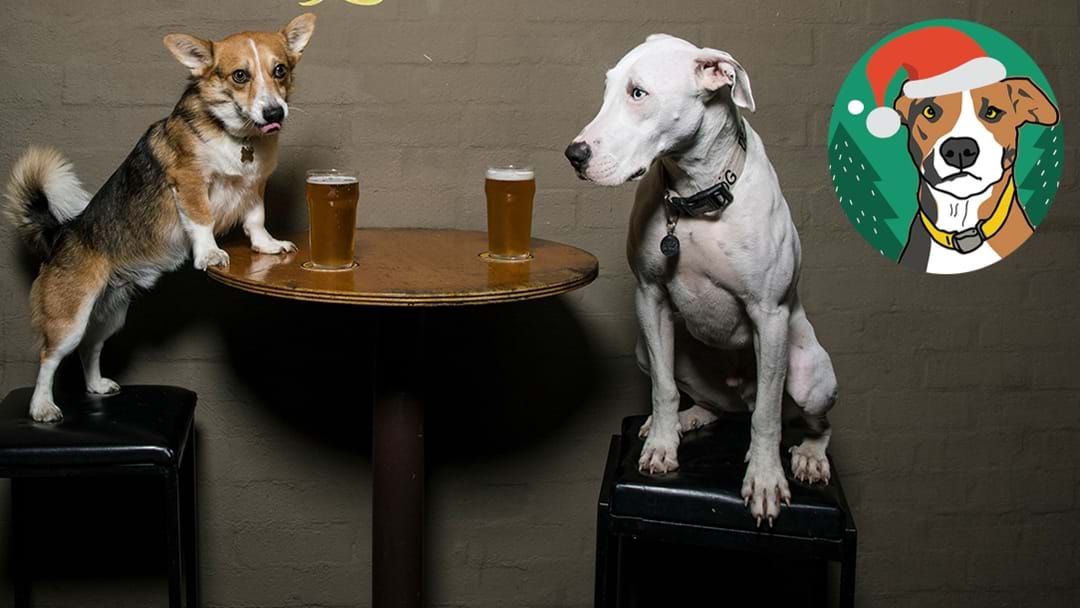 Article heading image for Dogs + Christmas In July Hits The Inner West