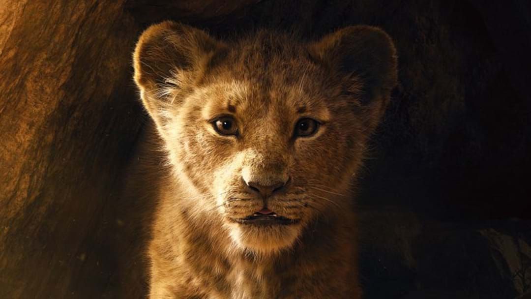 Article heading image for The NEW ‘Lion King’ Trailer Is Giving Us Literal CHILLS & We Can’t Deal
