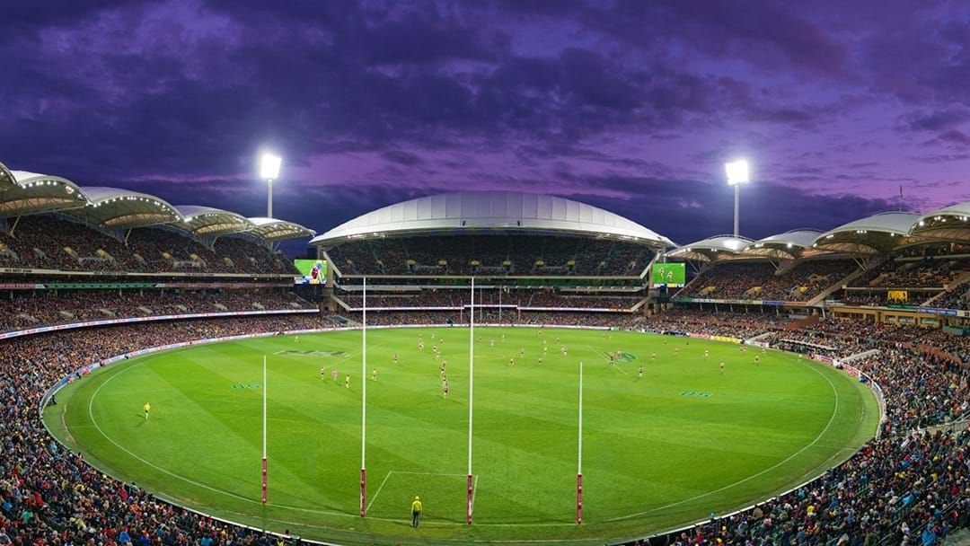 Article heading image for Adelaide Oval Drops Vaccine Mandate For All Spectators