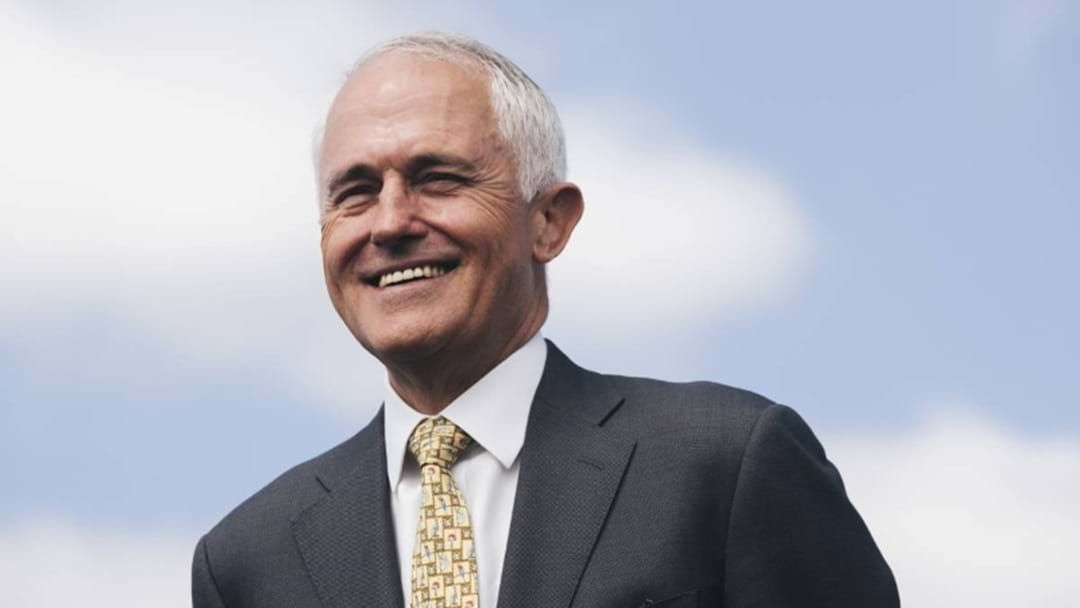 Article heading image for Malcolm Turnbull Encourages Voters To Shake-Up The Liberal Party 