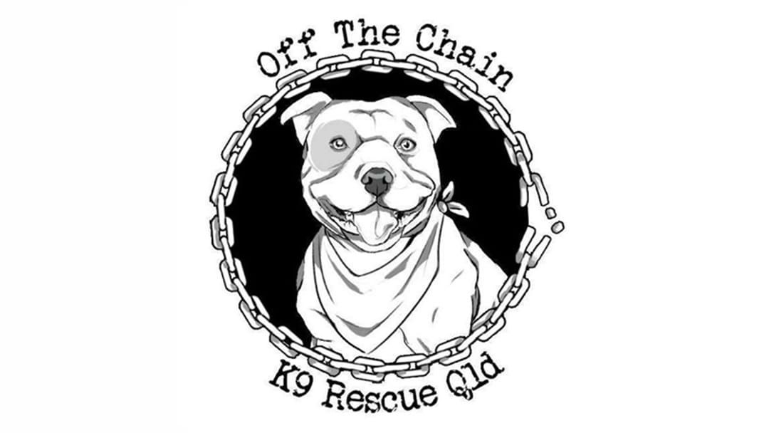 Article heading image for Off The Chain K9 Rescue Group: Adopt at Pet Day