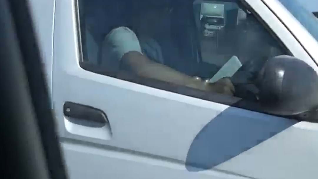 Article heading image for Man Spotted Reading A Book While Driving On Busy Freeway