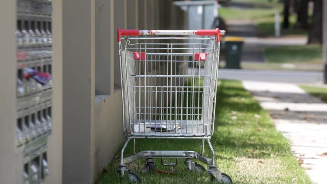 Article heading image for Deeragun and Kalynda Among Townsville's Hot Spots For Dumped Trollies 