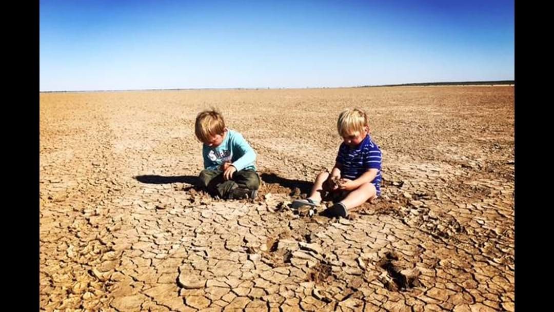 Article heading image for The Drought..How we can help our farmers out west