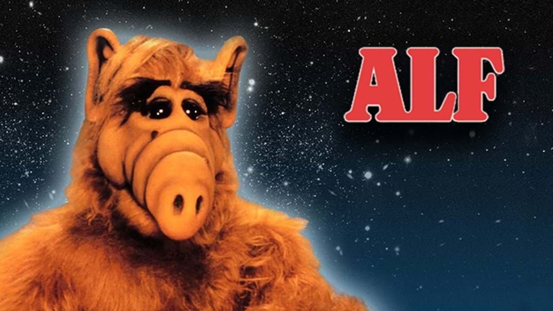 Article heading image for There's Apparently An 'ALF' Reboot In The Works