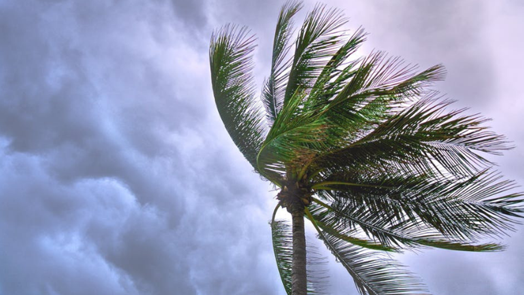 Article heading image for How To Stay Safe During Storm Season On The Gold Coast