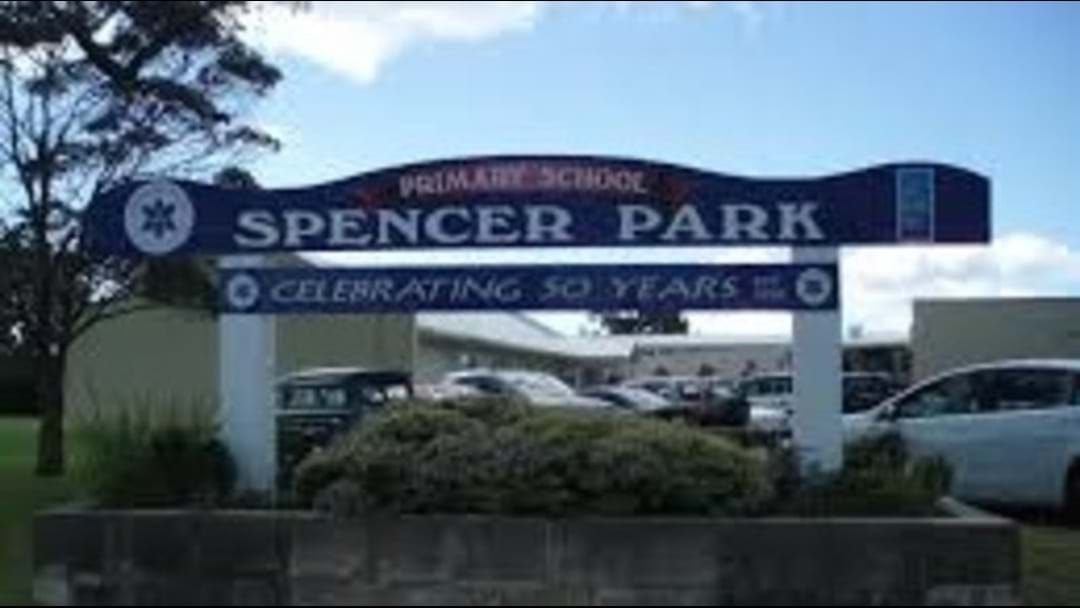 Article heading image for Spotlight on Spencer Park