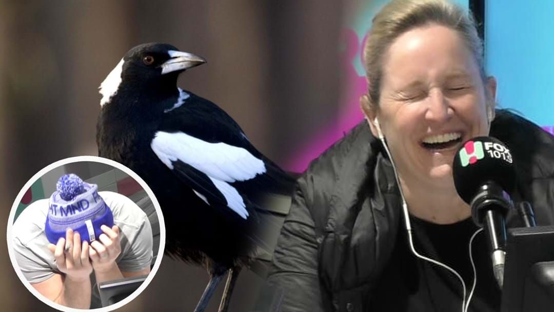 Article heading image for This Man's Magpie Impersonation Is MAG-nificent And We're Convinced He's Part Magpie!