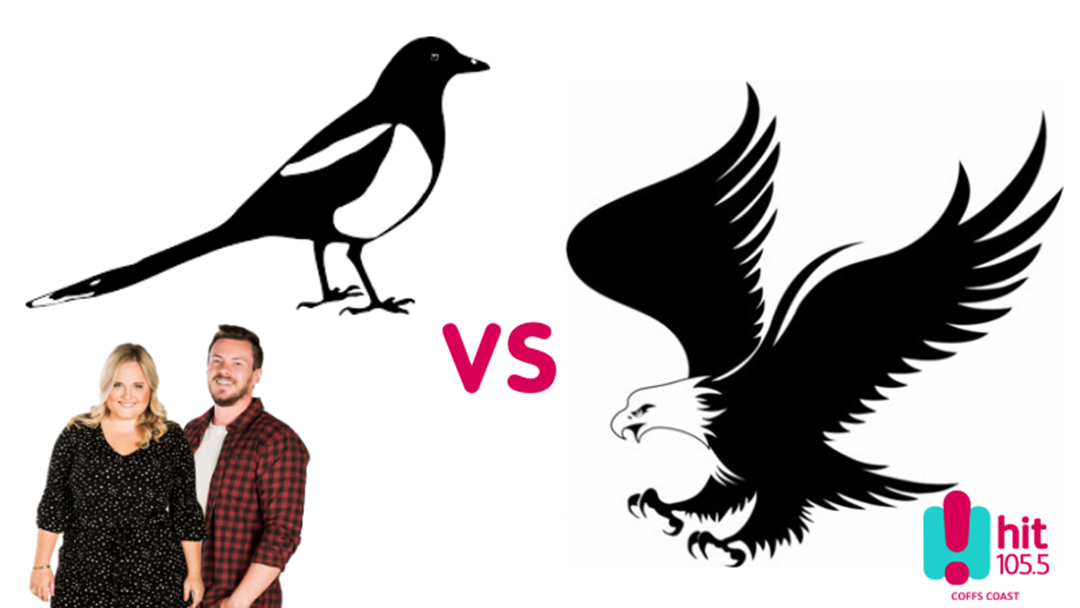 Article heading image for Who would win in a fight between a Magpie and an Eagle?