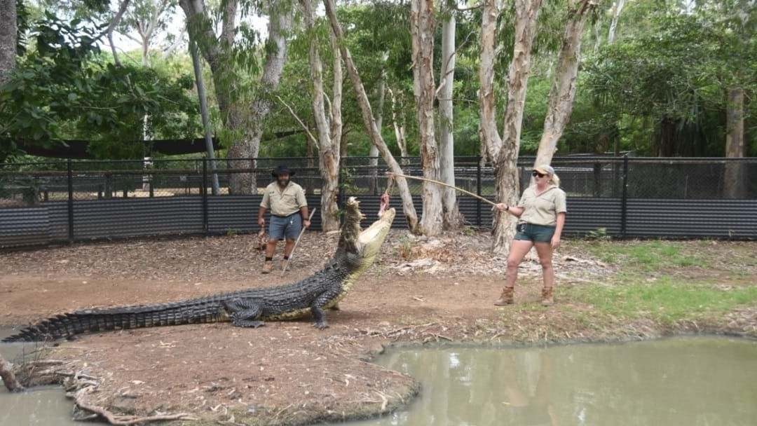 Article heading image for Staff Of Billabong Sanctuary 'Devastated' Over Robbery