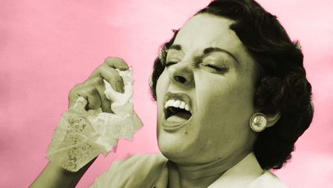 Article heading image for Apparently Sneeze Fetishes Are A Thing?