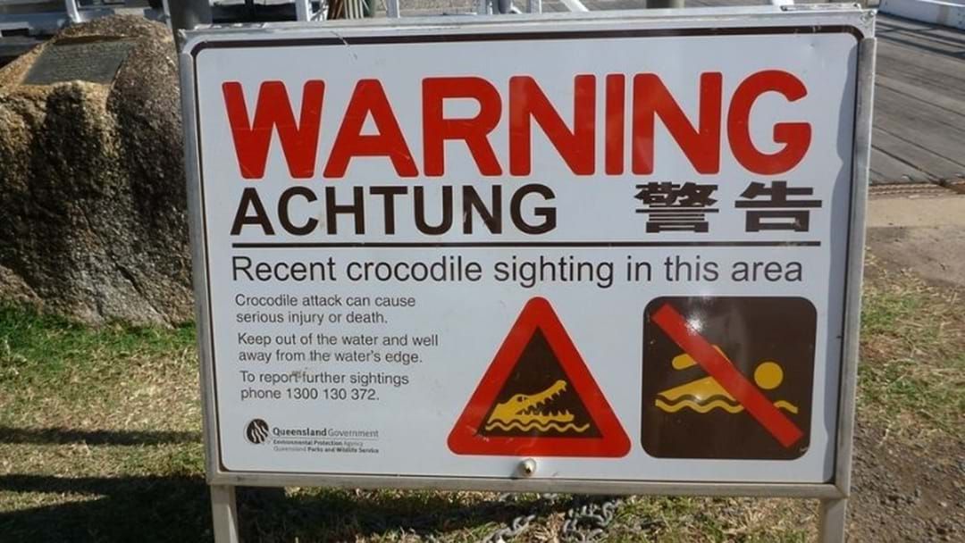 Article heading image for Two Men Have Been Hospitalised Following A Croc Attack In Cape York Peninsula