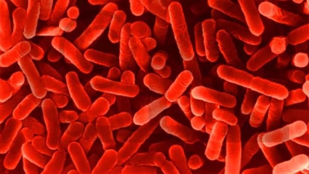 Article Heading Image For Nsw Health Issues Warning After Legionnaires' Disease Outbreak In Sydney