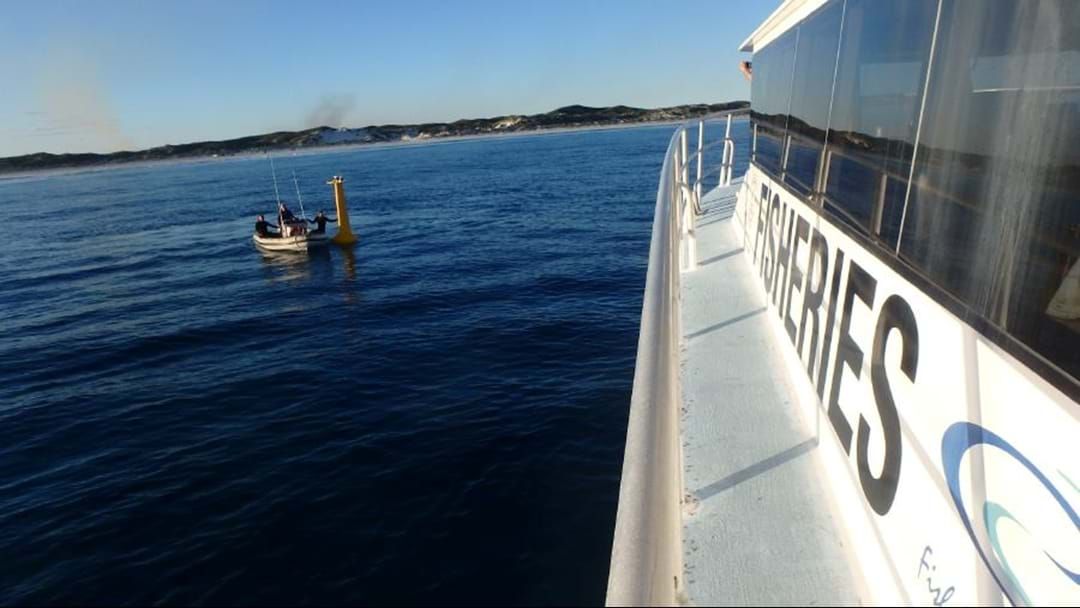 Article heading image for UPDATE! Esperance receivers online and ready to detect tagged shark