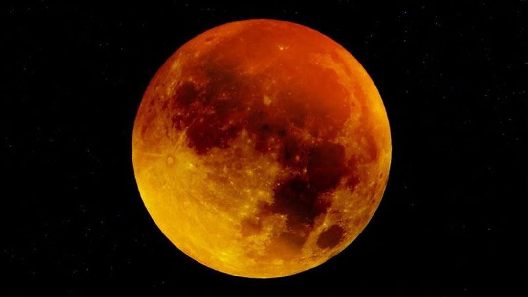 Article heading image for Here’s How The Blood Moon Has Messed Up Our Lives In Perth 