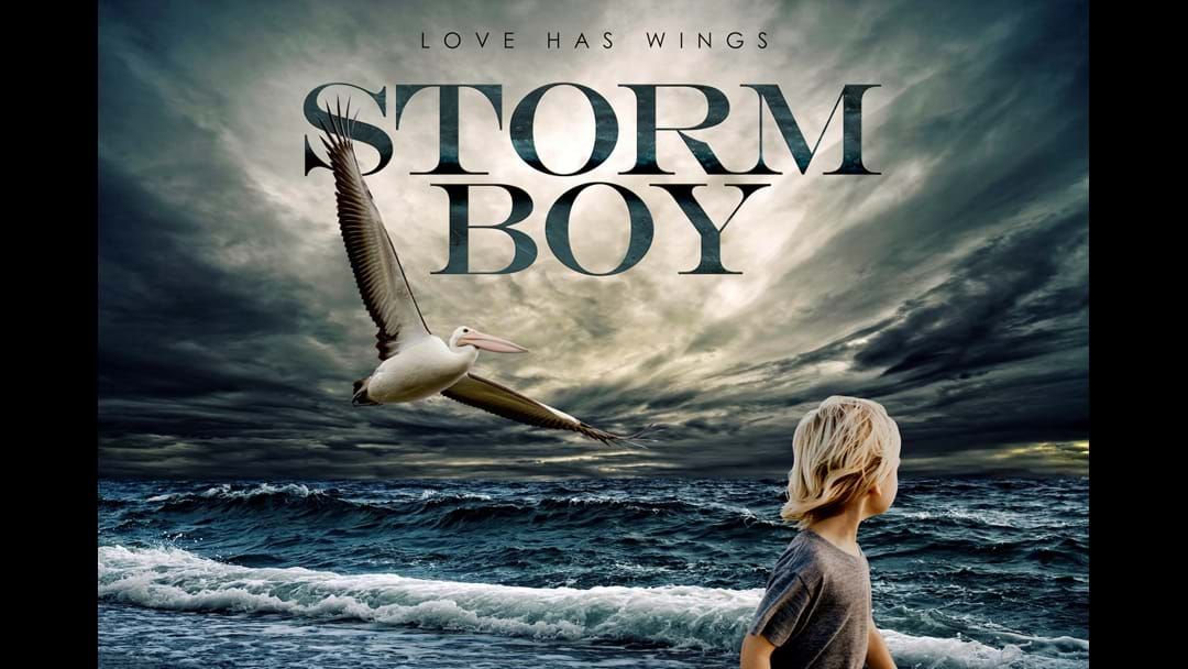 Article heading image for Could your son be the next Storm Boy?