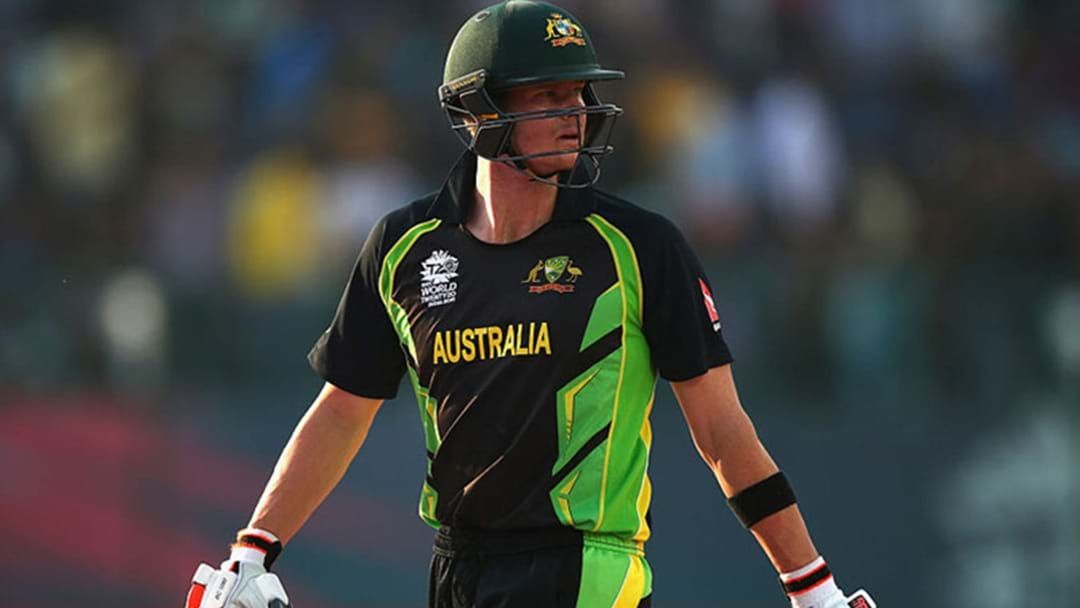 Article heading image for Greg Blewett Thinks Steve Smith Should Relinquish The T20 Captaincy