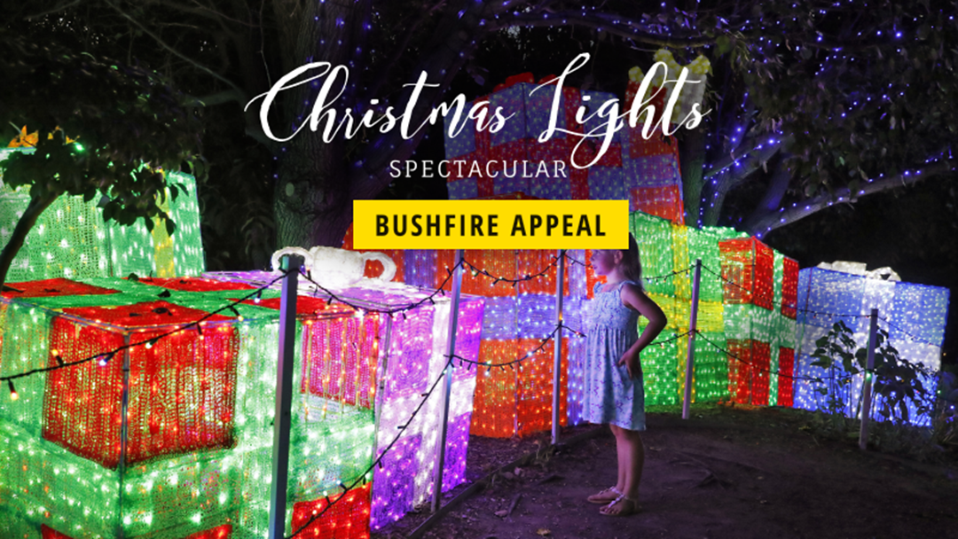 Article heading image for Hunter Valley Gardens Have Turned Their Christmas Lights Spectacular Into A Bushfire Appeal