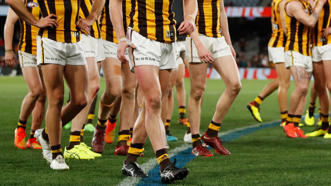 Article heading image for Hawthorn Racism Investigation Stalled Over Access To Documents