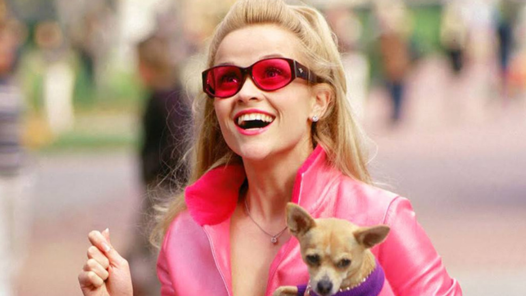 Article heading image for Could You Be Griffith's Elle Woods? Auditions Are Happening Later This Year!