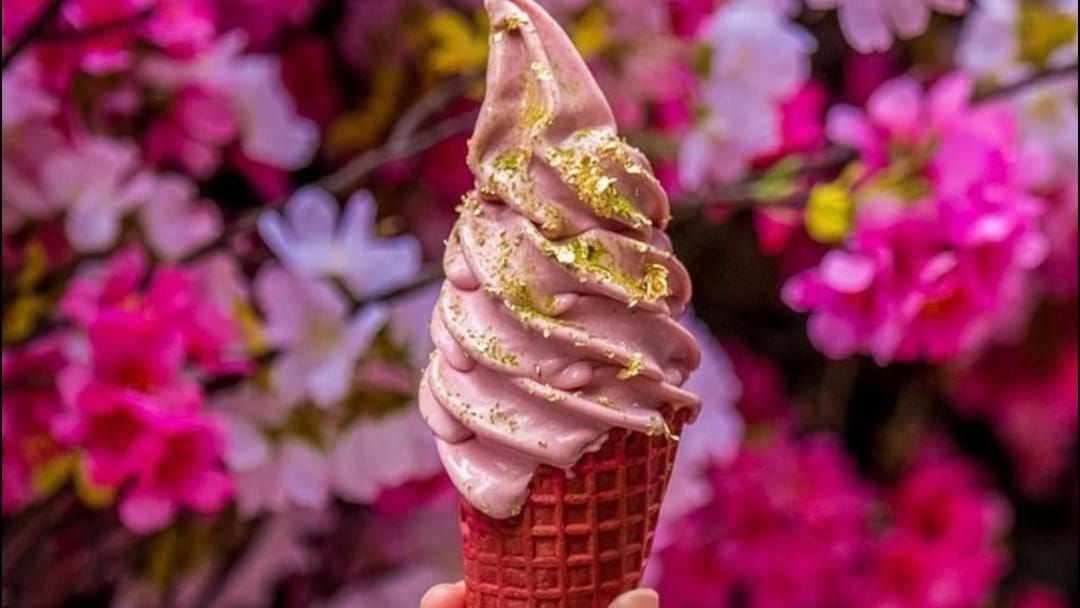 Article heading image for The Ultimate Cherry Blossom Festival Is Popping Up In Sydney
