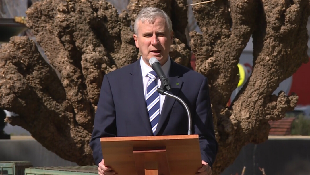 Article heading image for UPDATE: Covid-19 Closures From Deputy PM Michael McCormack