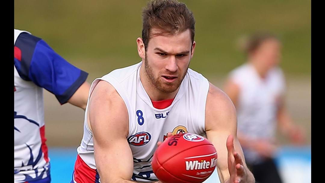 Article heading image for Another Forward Departs Western Bulldogs