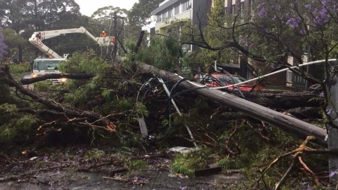 Article heading image for Power Outages Across Sydney Due To Storm Chaos