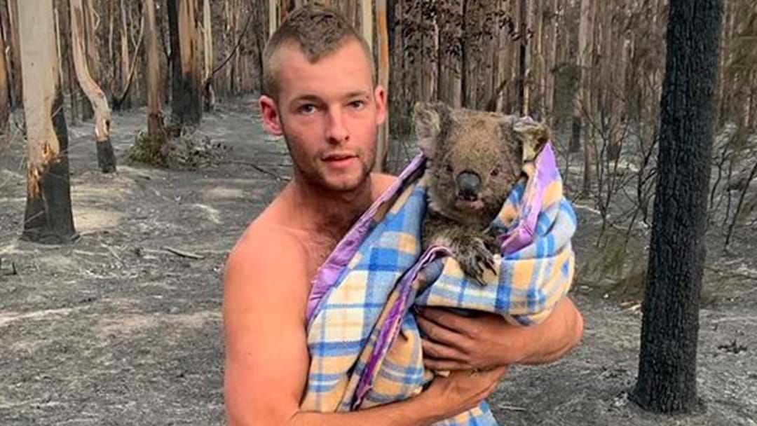Article heading image for One Bloke Has Defied The Burnt Mallacoota Forest To Save A Bunch Of Koalas