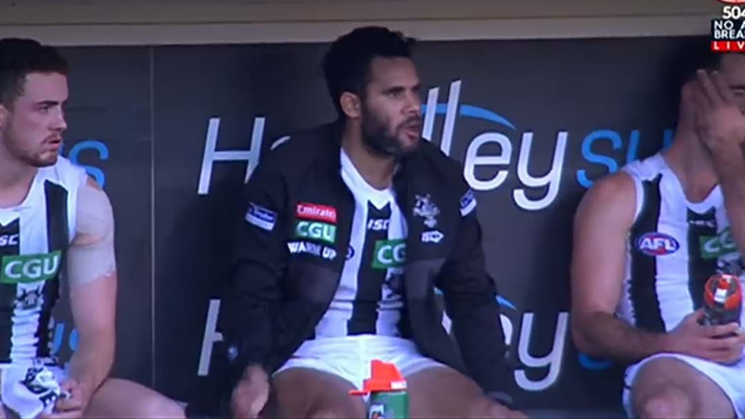 Article heading image for Injury Concerns For Two Key Magpies