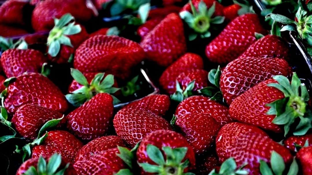 Article heading image for Contaminated Strawberries: Suspected Copycat