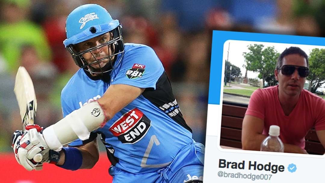 Article heading image for Brad Hodge Returns Serve On Cricket Australia Investigation