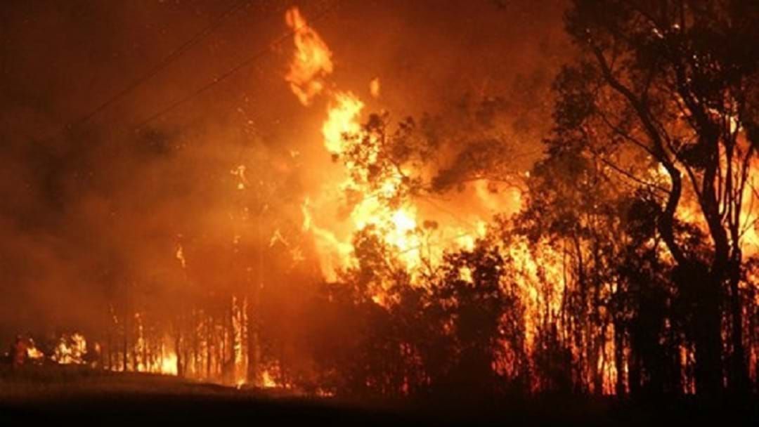 Article heading image for Riverina Farmers Urged To Dig Deep For Bushfire Appeal