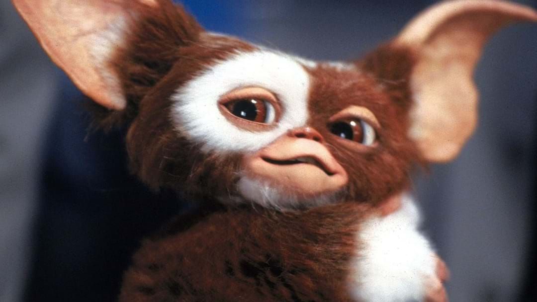 Article heading image for HBO Reveals A 'Gremlins' TV Series Is Coming Later This Year