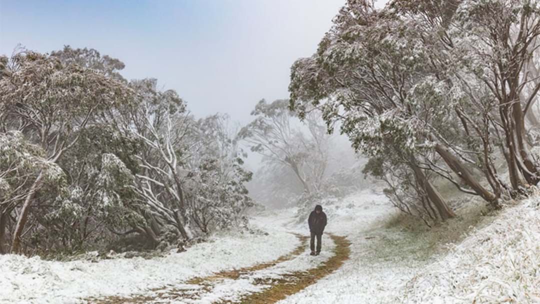 Article heading image for It Could Snow In Victoria This Week So Say Good Bye To The Seasons 