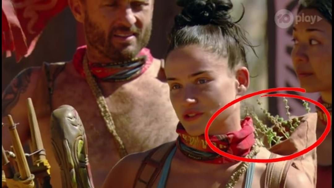 Article heading image for Why Did The Survivor Contestants Have Sticks In Their Backpacks?