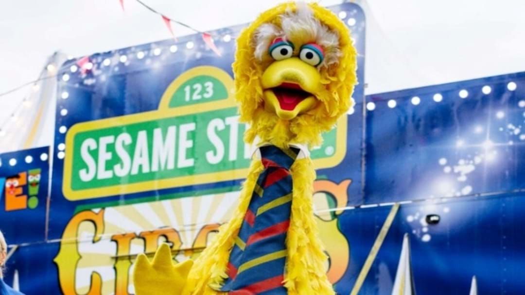 Article heading image for 'Big Bird Bandits' Spared Jail Over Sesame Street Costume Theft