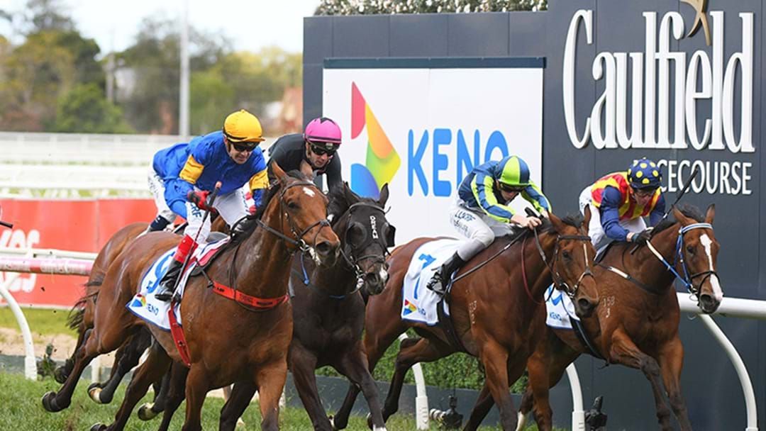 Article heading image for TAB’s Nick Quinn Gives His Best Tips For Today’s Races