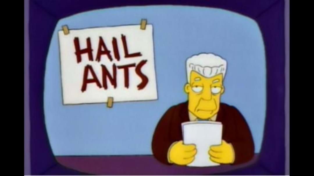 Article heading image for LISTEN: '$400M Wasted' Fighting Fire Ants
