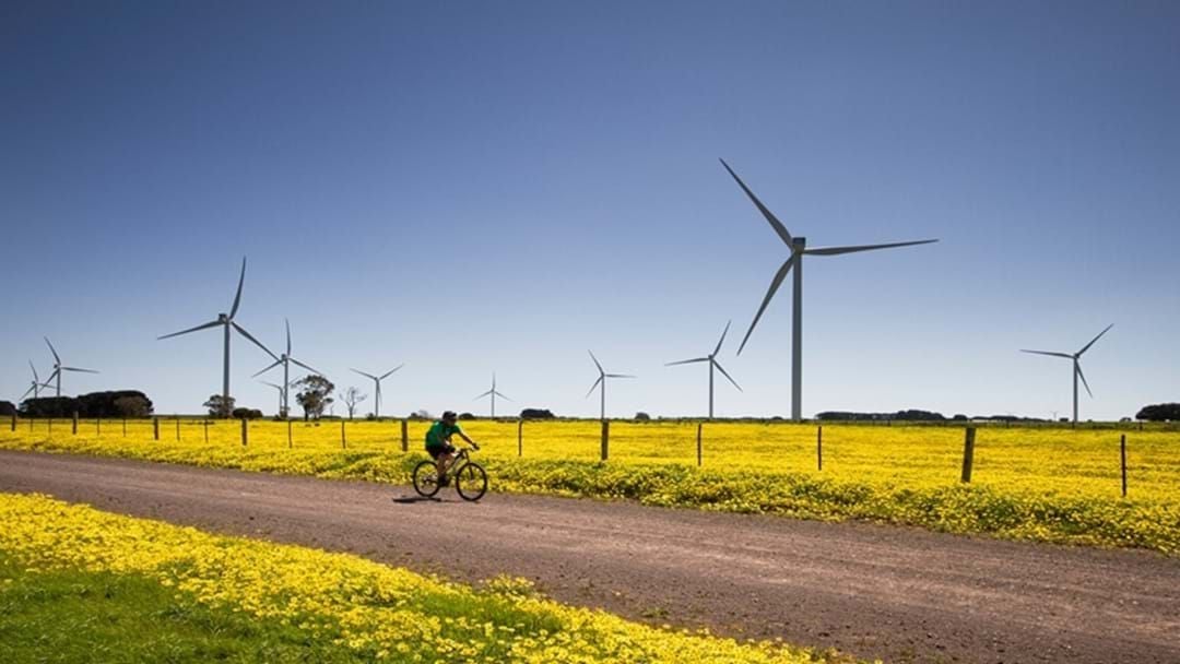 Article heading image for NAB Will Finance $370m Far North Wind Farm