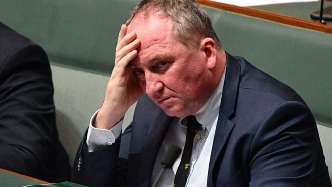 Article heading image for Barnaby Joyce Says He's Struggling To Support Two Families On His $200+ Salary