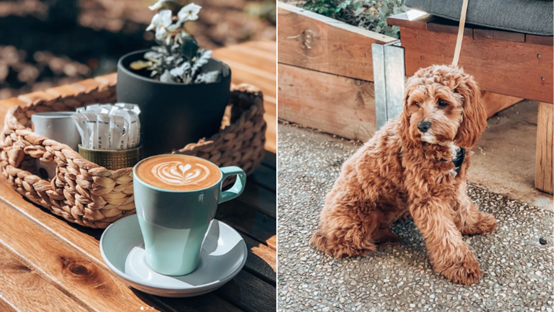 Say Hello To Third Base Coffee's New Sister Cafe In Robina! | Hit Network