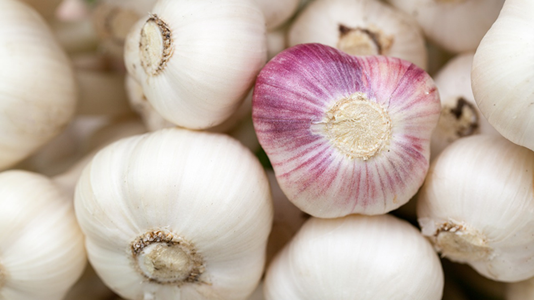 Article heading image for Someone Stole A Whole Garlic Crop & It’s ‘Impossible’ To Solve The Crime